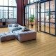 Robusto 12mm Plank Adaja Oak AC5 YD² Laminate Flooring