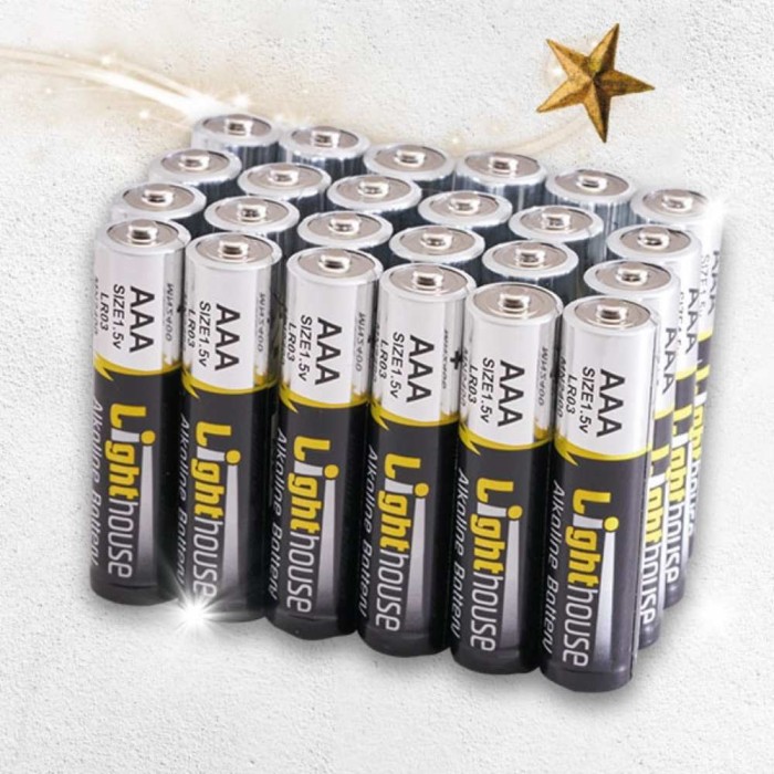 AAA Alkaline Batteries Pack of 24