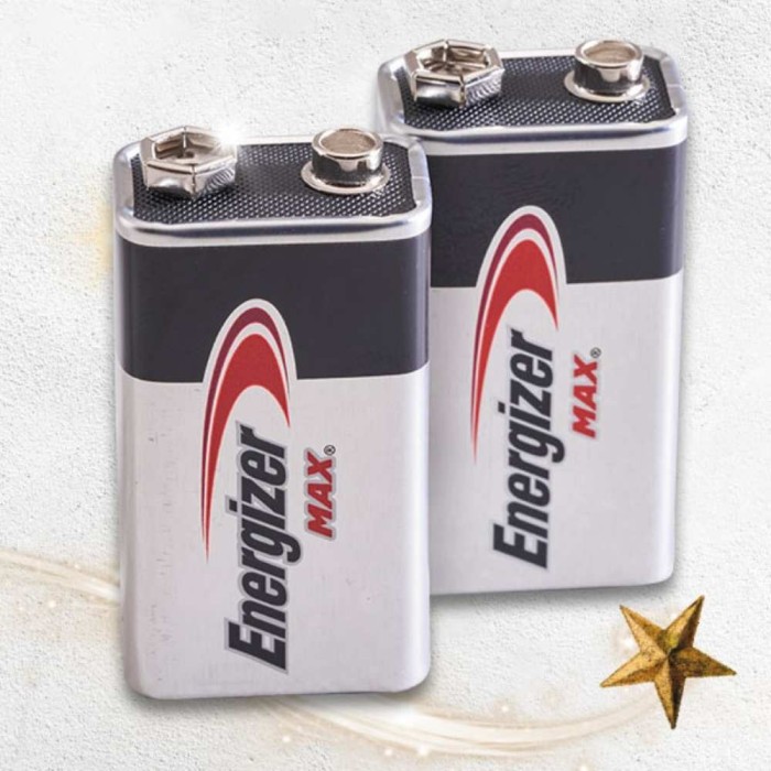 MAX® 9V Alkaline Batteries Pack of 2