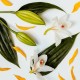 White Lily & Ylang Ylang Candle 190g