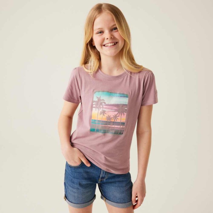 Junior Bosley VII Graphic T-Shirt - Heather