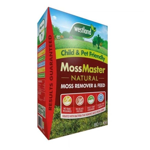 Natural Moss Master 80M2