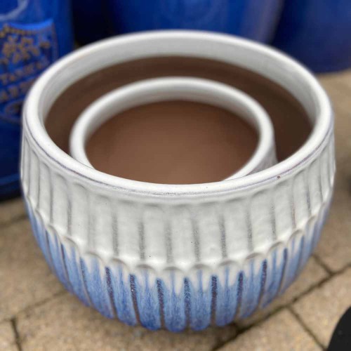 Mitch Planter 
