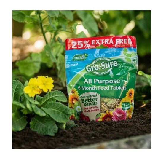 All-Purpose 6 Month Plant Feed Tablets