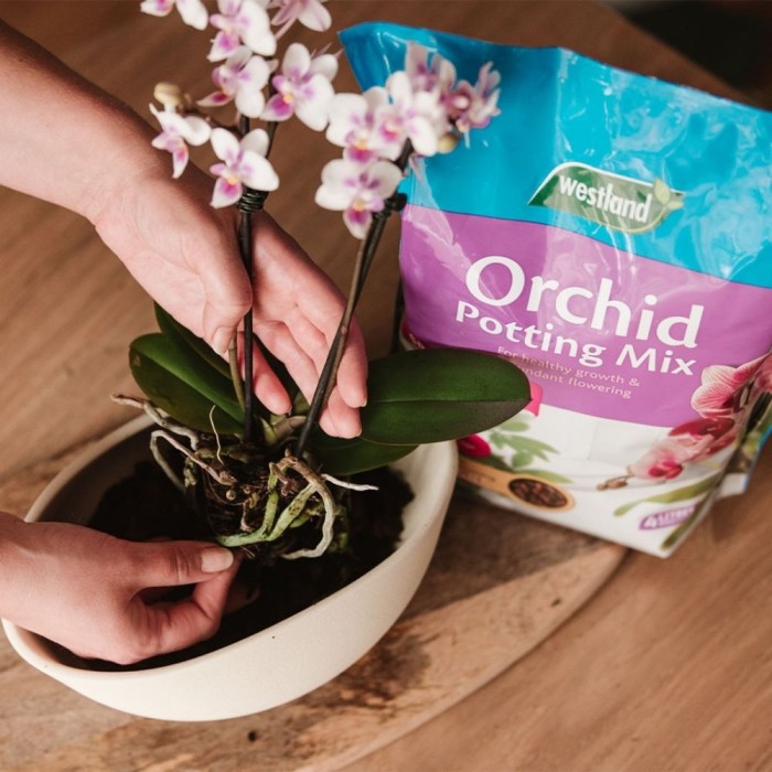 Orchid Potting Mix 4L