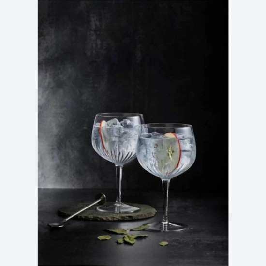 Mixology Spanish Gin Glasses - Set of 4