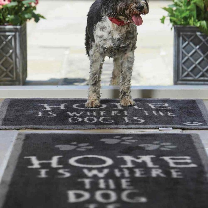 Home Pet Runner 