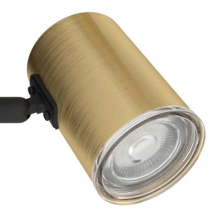 Consuma 1 Single Spotlight - Gold