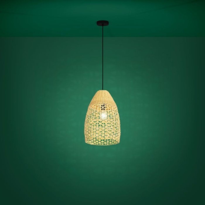 Sambucona Single Pendant Light