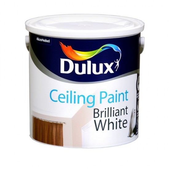 Ceiling Paint Brilliant White