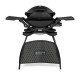 Q 2200 Gas BBQ Grill with Stand