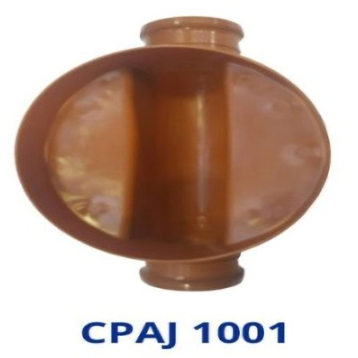CPAJ 1001
