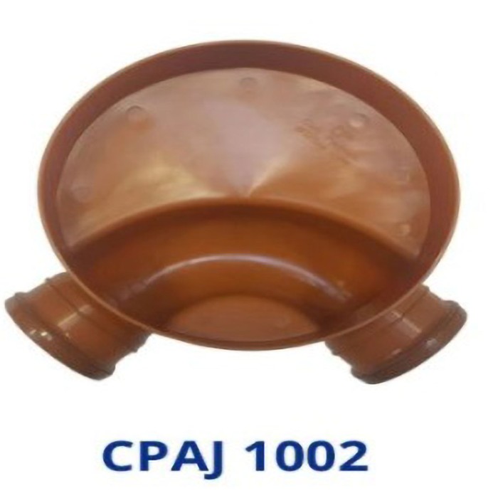 CPAJ 1002