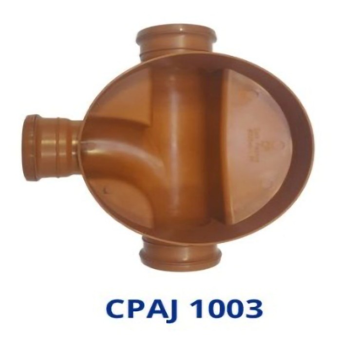 CPAJ 1003