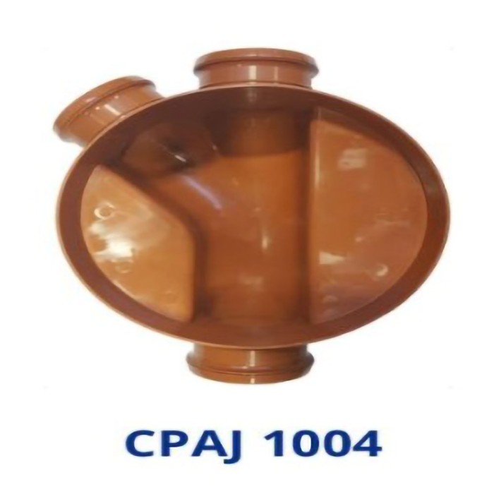CPAJ 1004
