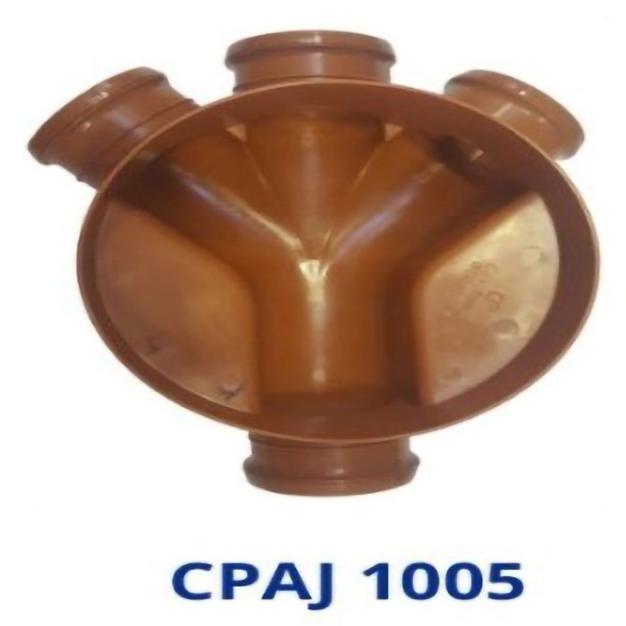 CPAJ 1005