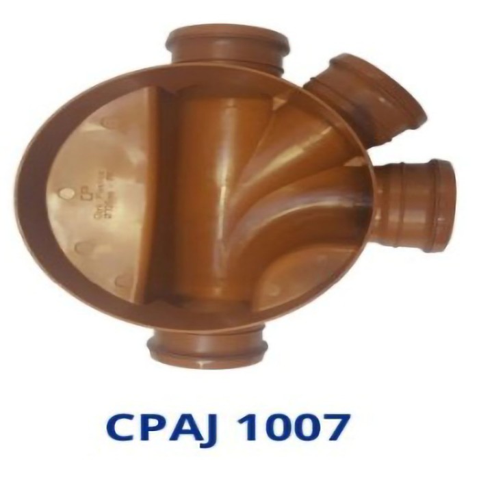 CPAJ 1007