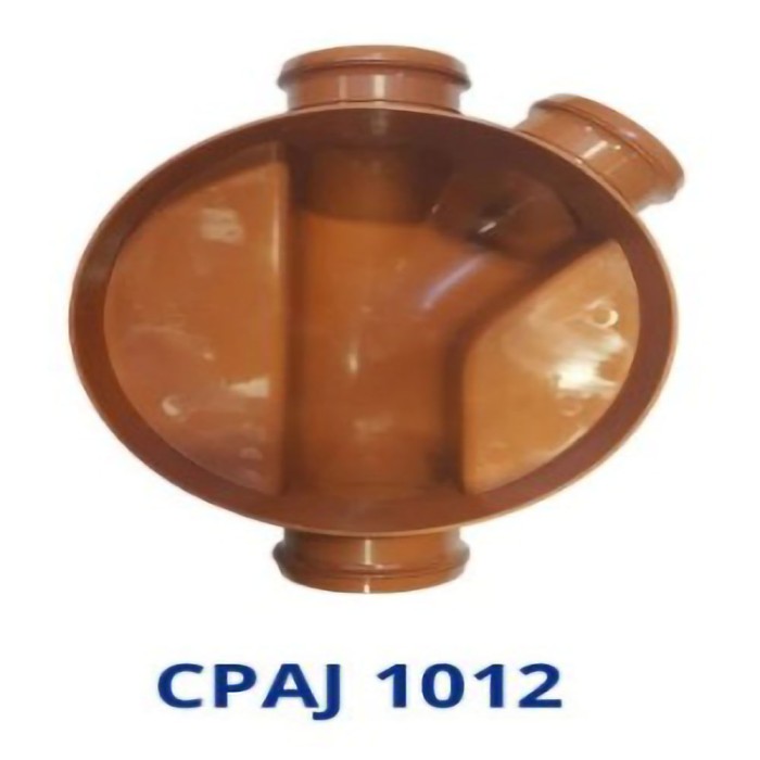 CPAJ 1012