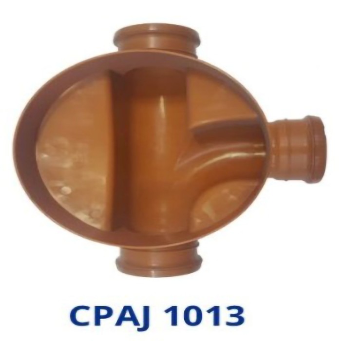 CPAJ 1013