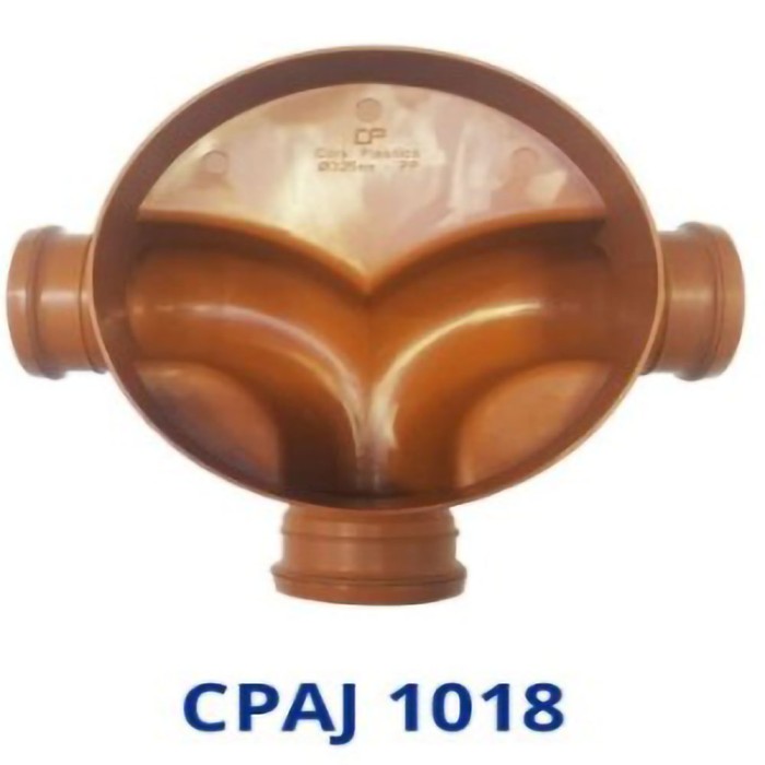 CPAJ 1018