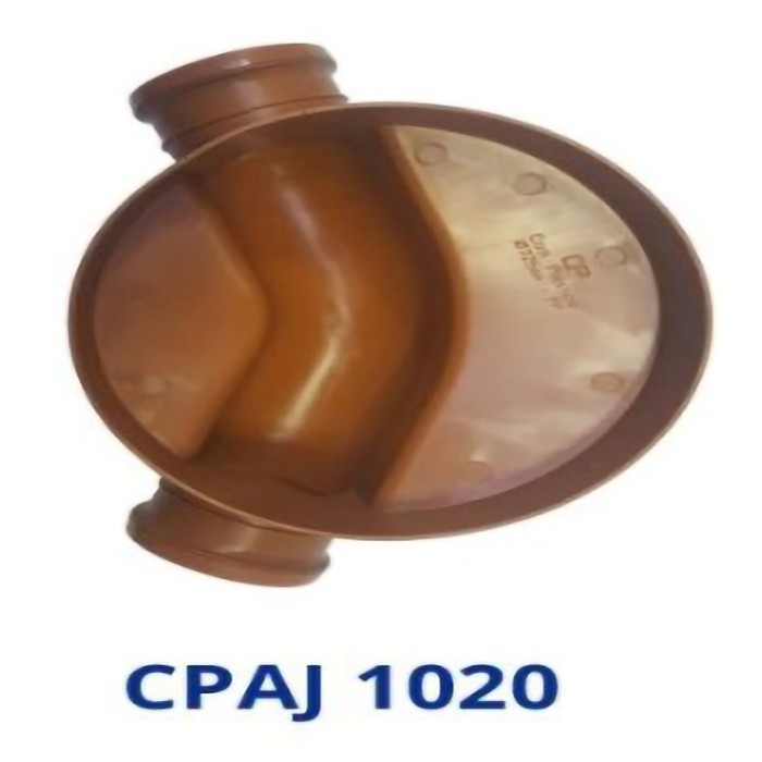 CPAJ 1020