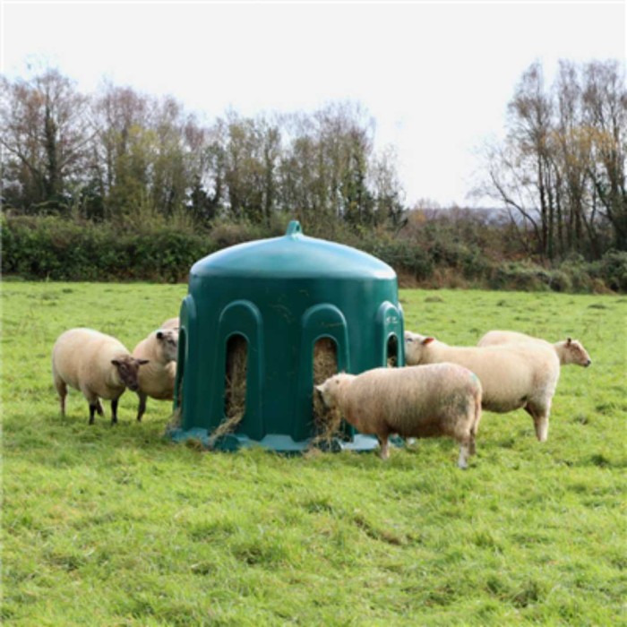 Haybell (Sheep)