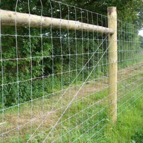 3ft Light Sheep Wire 50yds