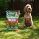 Westland Moss Master Moss Remover & Lawn Feed | 400m² Bag
