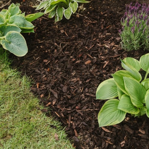 Westland Decorative Mini Bark | 100L