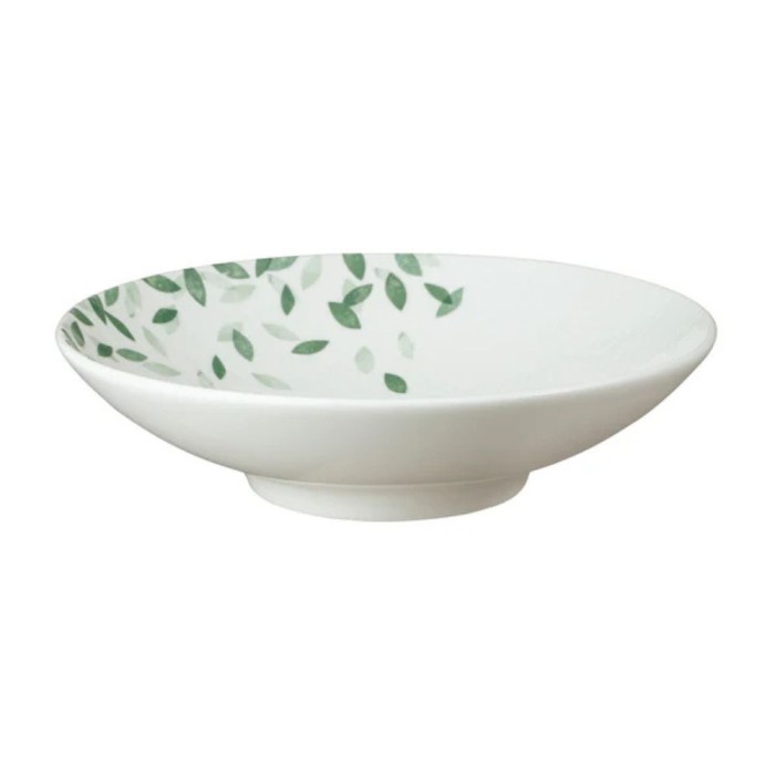 Denby Porcelain Greenhouse Pasta Bowl