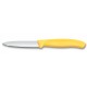 Victorinox Swiss Classic 8CM Paring Knife Set | Plain Edge | Set of 2 | Colour Options