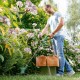 Bosch 26cm EasyGrassCut 26 Electric Grass Trimmer | 280W | 06008C1J71