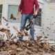 Worx Cordless Brushless Leaf Blower | 20V | WG543E