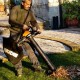 Worx Cordless Brushless Leaf Blower Vac & Mulcher | 40V | WG583E