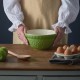 Mason Cash In The Forest Green Hedgehog Mixing Bowl | 21cm | 2001.333