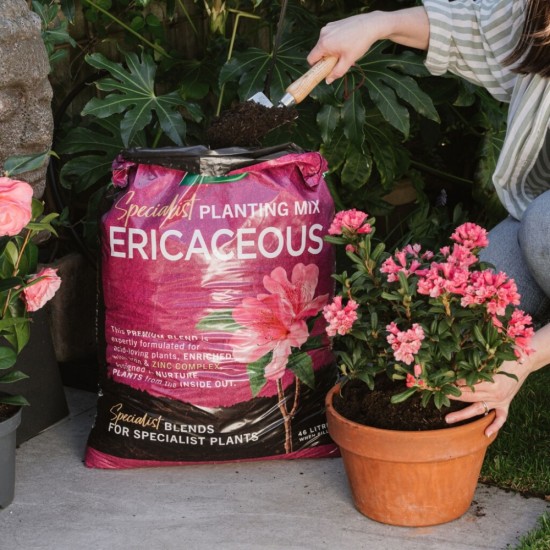 Westland Ericaceous Specialist Planting Mix | 46L