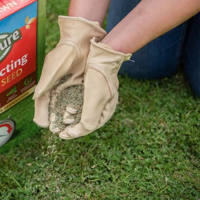 Gro-Sure Fast Acting Lawn Seed | 30m² Box