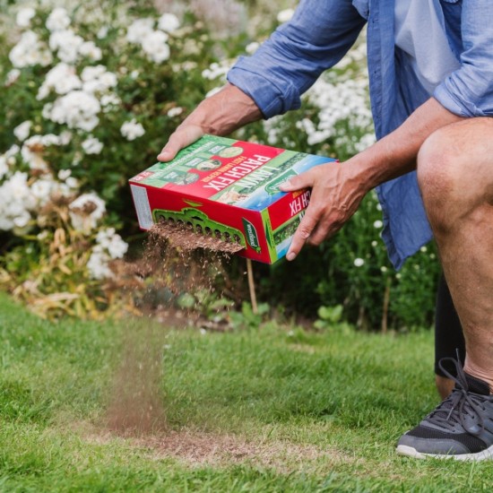 Aftercut Patch Fix Lawn Repair | 64 Patch Pack