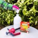 Weedol Rapid Weed Control Concentrate Tubes | 6 Pack