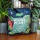 Westland Houseplant Potting Mix | 10L