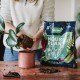 Westland Houseplant Potting Mix | 10L