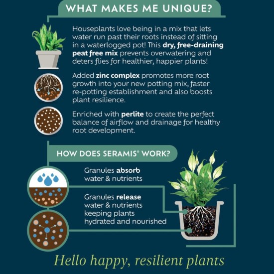 Westland Houseplant Potting Mix | 10L