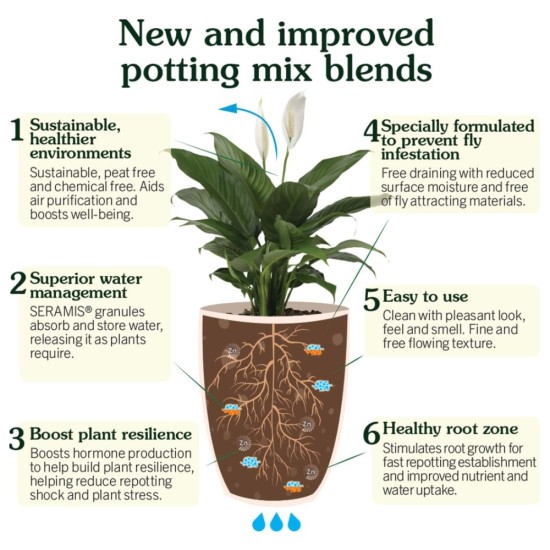 Westland Houseplant Potting Mix | 10L