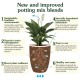 Westland Houseplant Potting Mix | 10L