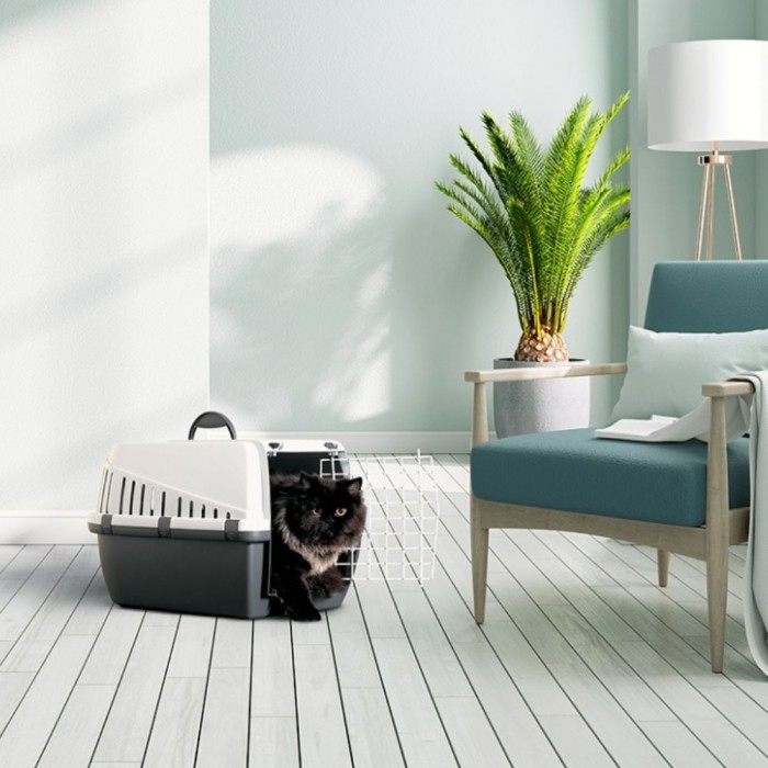 Trotter 1 Pet Carrier | Anthracite