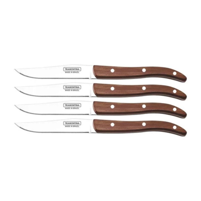 4-Piece French-Style Steak Knife Set