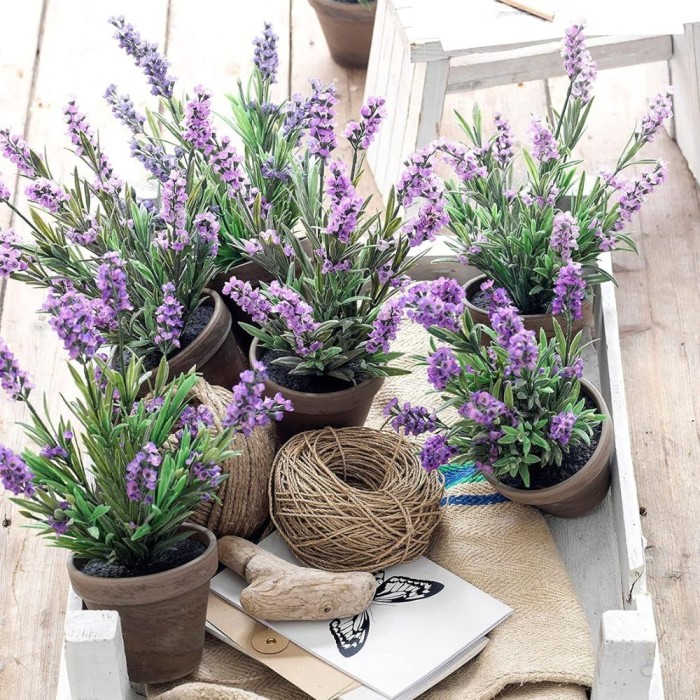 Lavender/Purple Flowers