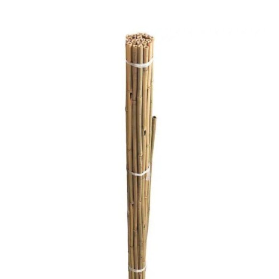 Grow It Bamboo Canes 2.1m | 10 Pack