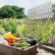 Grow It Bamboo Canes 2.1m | 10 Pack