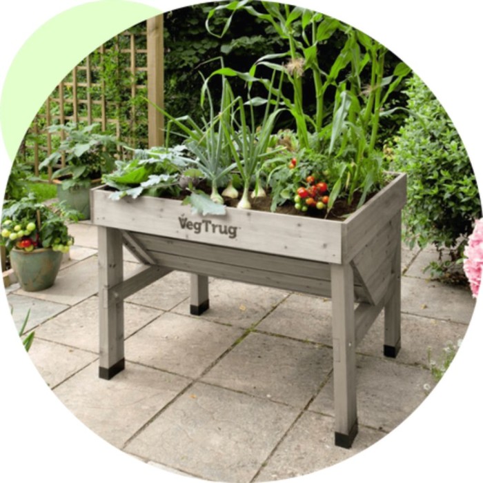 Classic VegTrug Small | Grey Wash